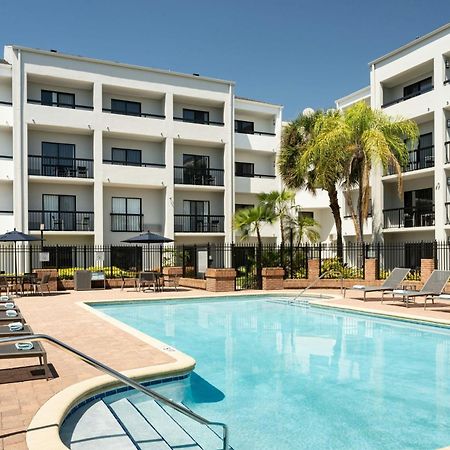 Courtyard Tampa Westshore/Airport Esterno foto